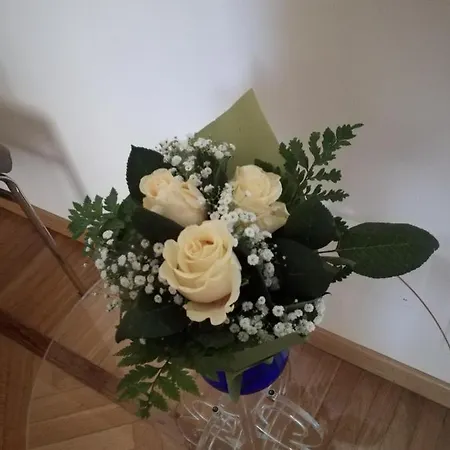 Appartement Casa Fresia Turin